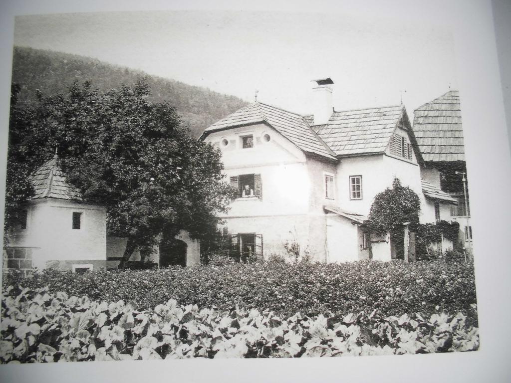 Pension & Ferienwohnung Dullnig Gmünd Dış mekan fotoğraf